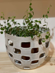 Panier Baguni en céramique blanche avec motifs ajourés, utilisé comme cache-pot pour une plante verte, posé sur une surface en bois clair.